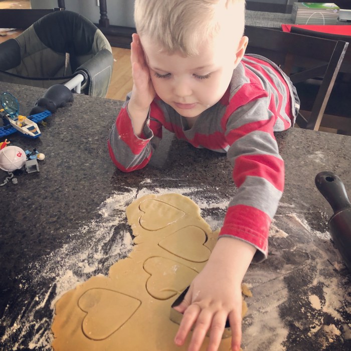 Soy-Free Dairy-Free Sugar Cookies